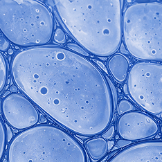 Thyroglobulin Antibodies (TgAb)