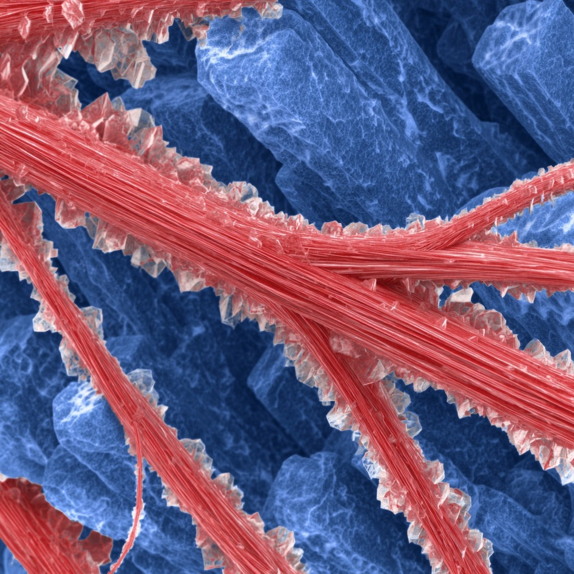 Abstract micrograph representing DNA signals detected in blood